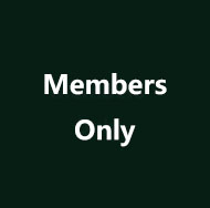 sugar daddy auckland user-2023001