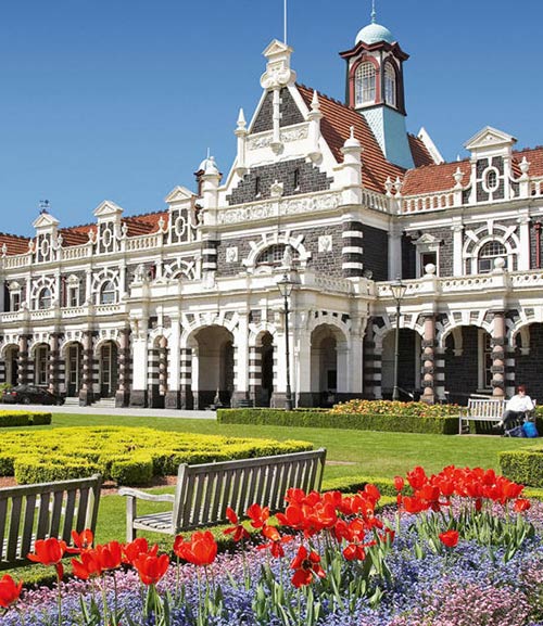 Dunedin SugarDaddyMeet