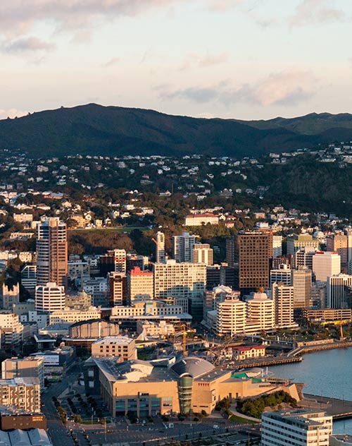Wellington SugarDaddyMeet